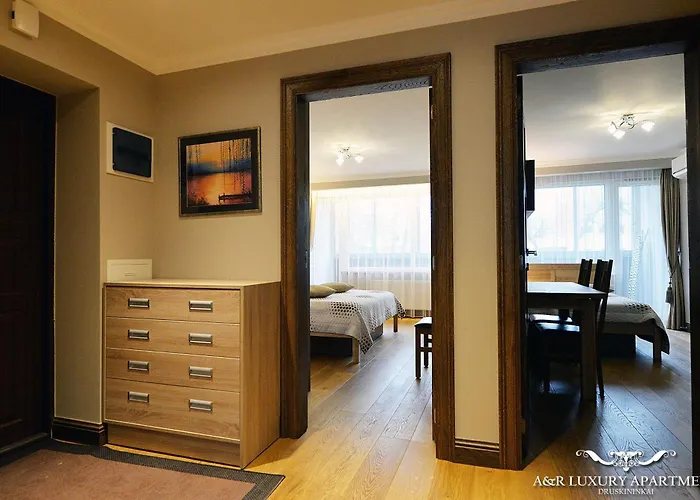 Luxury Vytauto 16 Druskieniki