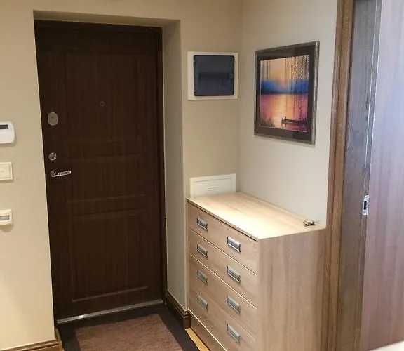 Apartament Luxury Vytauto 16